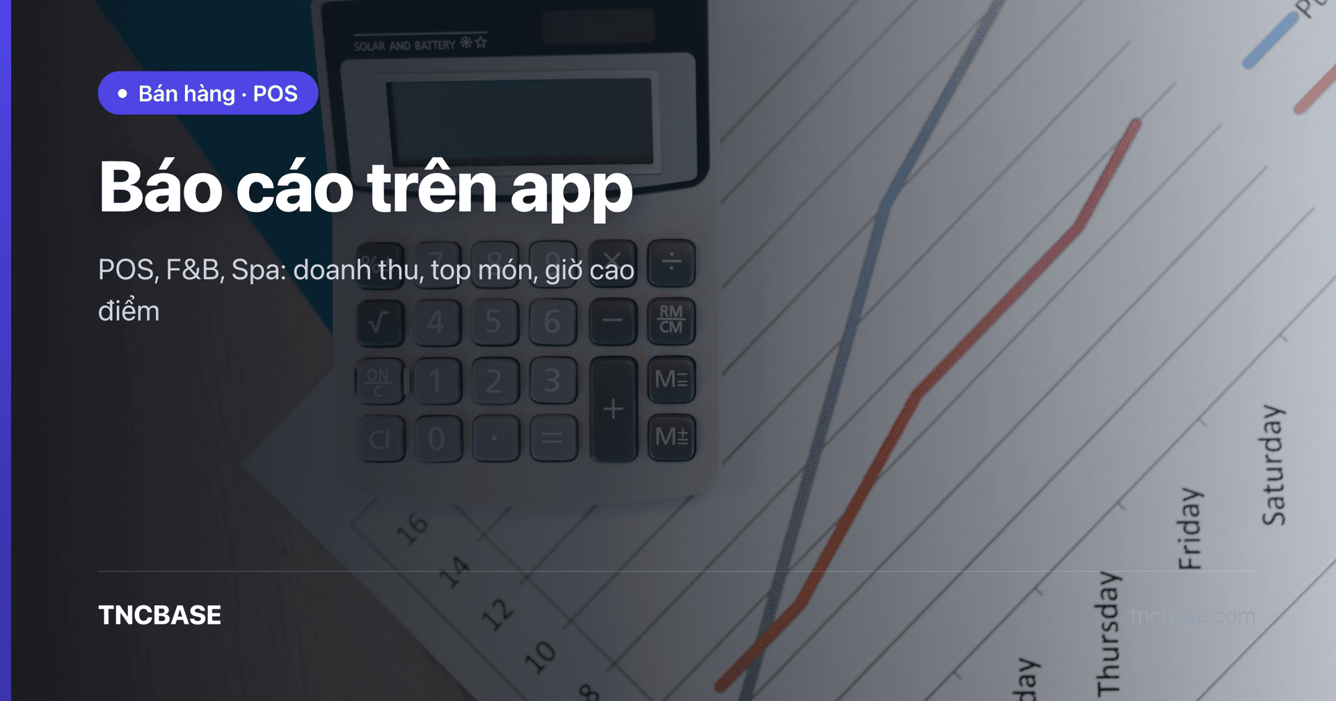 Ảnh bìa bài xem báo cáo doanh thu trên app TNCBASE