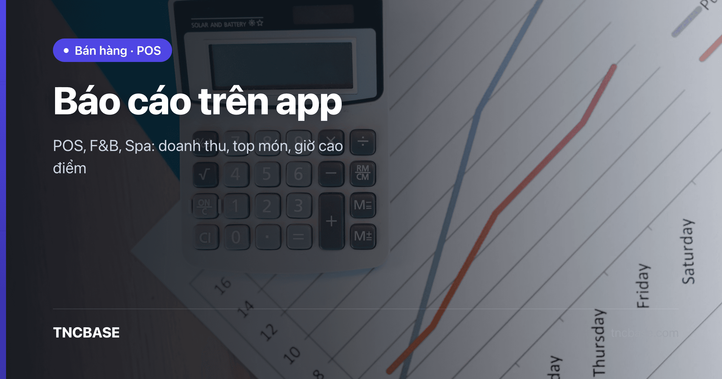 Ảnh bìa bài xem báo cáo doanh thu trên app TNCBASE