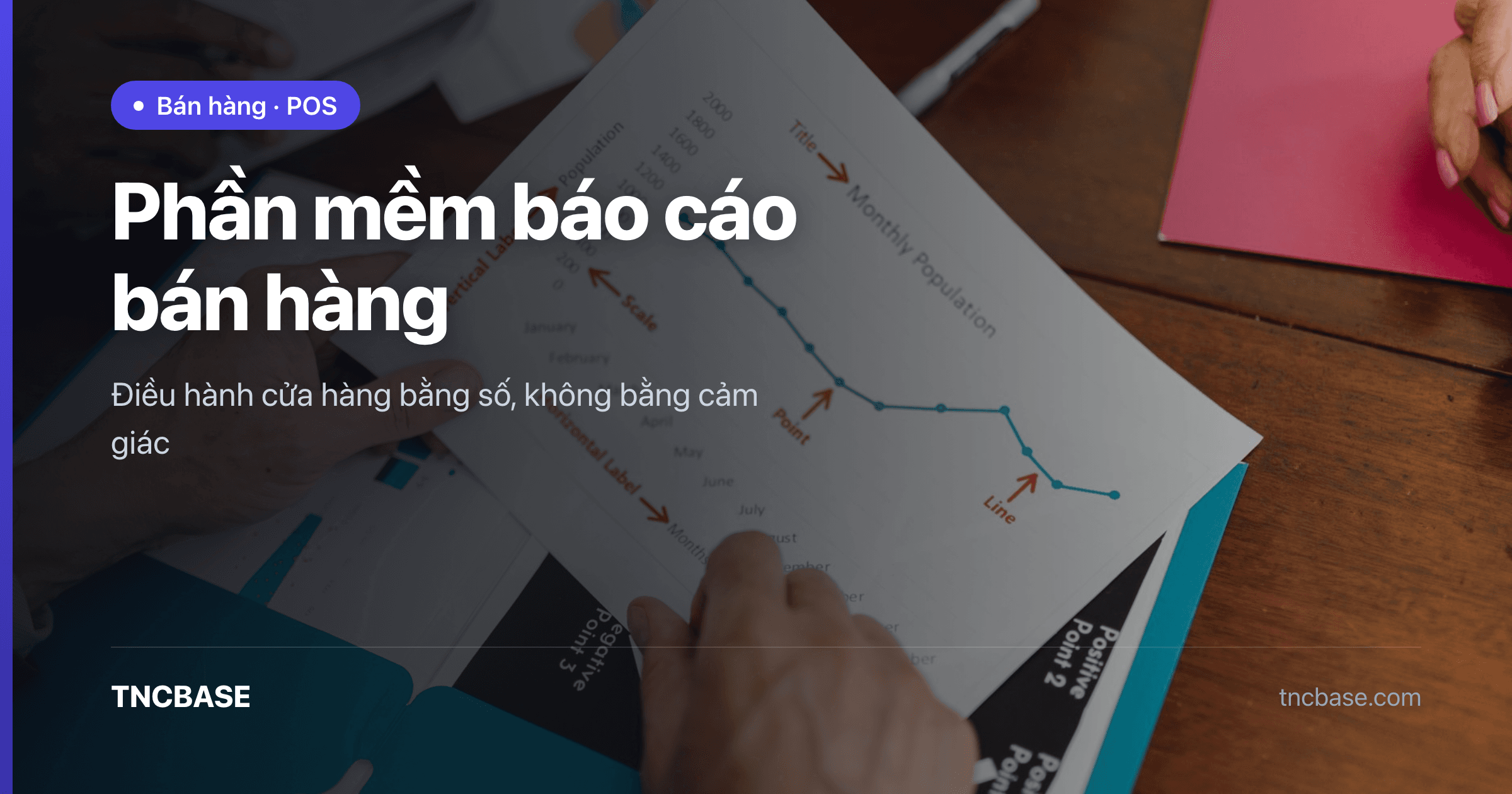 Màn hình báo cáo bán hàng của TNCBASE với biểu đồ doanh thu